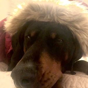 Meet your Posher, Heather